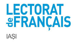 Logo_LFI